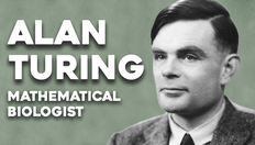 Go to Alan Turing, the mathematical biologist with duration: 3 minutes, 30 seconds