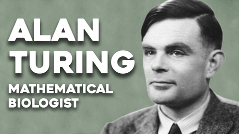 Thumbnail for entry Alan Turing, the mathematical biologist