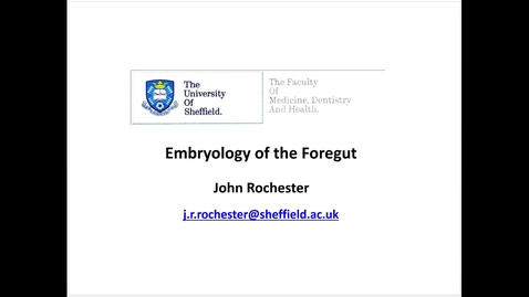 Thumbnail for entry Embryology of the foregut