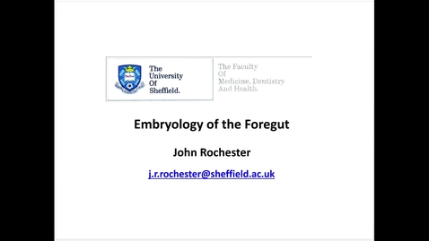 Thumbnail for Embryology of the foregut