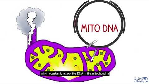 Thumbnail for entry DNA Repair in the Mitochondria