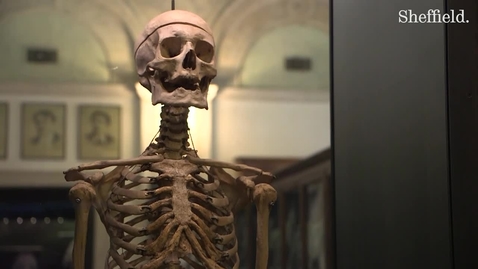 Thumbnail for What Can Crime Museums Teach Us About Crime?
