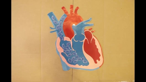 Thumbnail for Danbo Explains the Heart