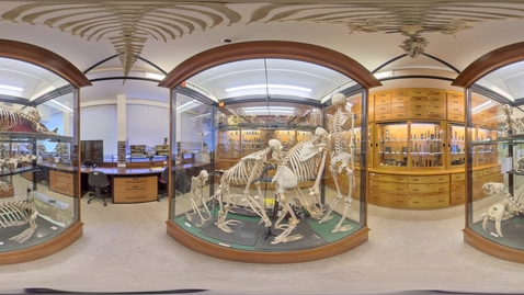 Thumbnail for Biosciences - Alfred Denny Museum 3
