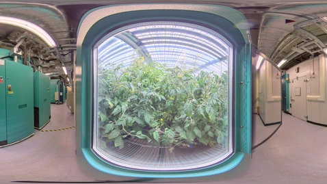Thumbnail for Biosciences - Controlled environment growth chambers 4