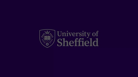 Thumbnail for ScHARR Mini Master Class in Health Research - Professor Steve Goodacre - Clinical Risk Prediction: What are we predicting and why