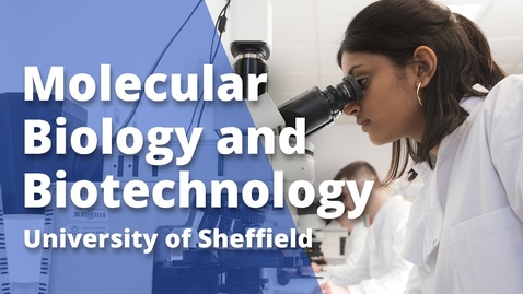 Thumbnail for Undergraduate study in Molecular Biology and Biotechnology at Sheffield