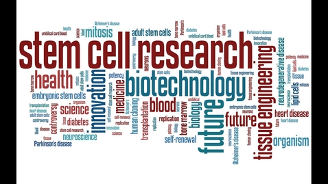 Thumbnail for entry Pluripotent Stem Cells and Engineered Cells Hub