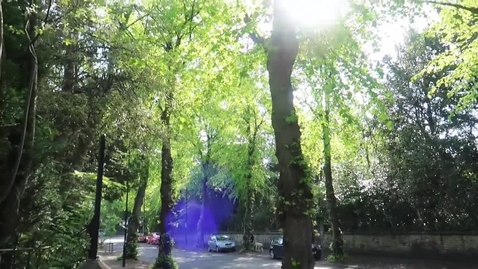 Thumbnail for Little Tales of Joy in Research by Heloise Stevance