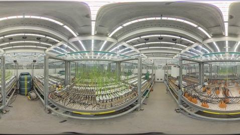 Thumbnail for Biosciences - Controlled environment growth rooms 2