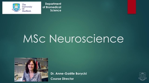 Thumbnail for MSc Neuroscience