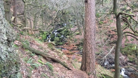 Thumbnail for entry Padley Gorge waterfall 3