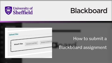 Thumbnail for entry How to submit a Blackboard assignment