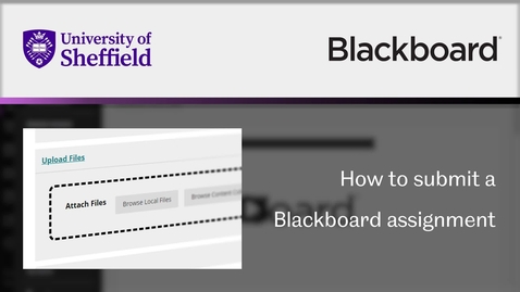 Thumbnail for How to submit a Blackboard assignment