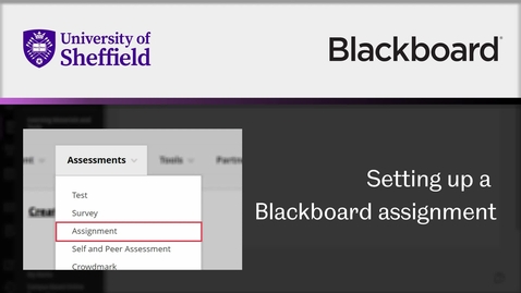 Thumbnail for entry How to set up a Blackboard assignment