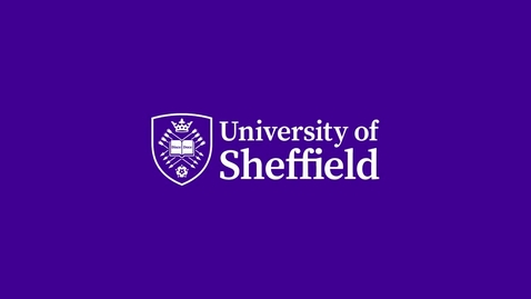 Thumbnail for entry Postgraduate student experience in the School of English, University of Sheffield