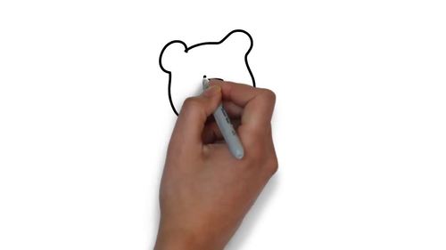 Preview of BEARS QUIZ - VIDEO WORKSHEET - ANIMALS FACTS TYPES