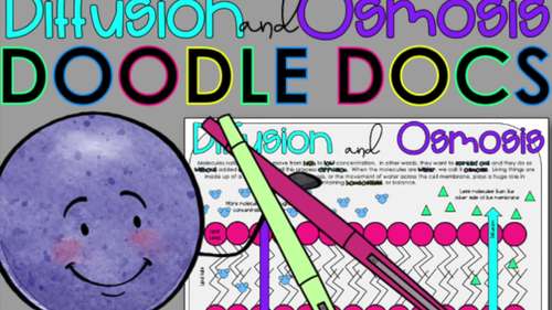 Diffusion and Osmosis Doodle Docs Coloring Worksheet by Science from
