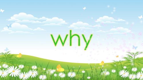 Preview of Sight word song...Let's learn how to read and spell the word "why"