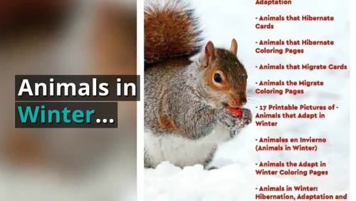Animals In Winter Printables Bundle 1 By The Natural Homeschool