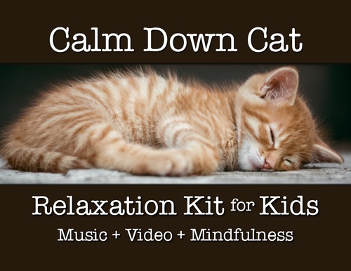 Preview of Calm Down Cat Video: Self Regulation, Classroom Management, Kindergarten, Pre-K