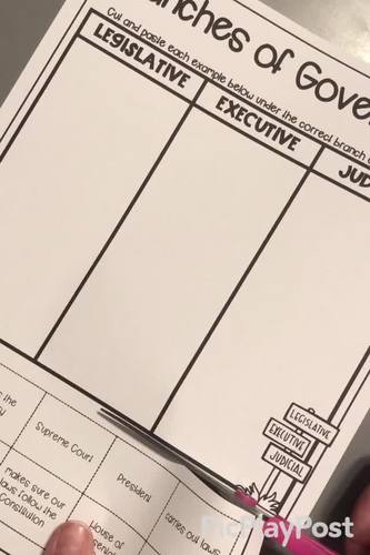 3 Branches of Government Worksheet by The Cozy Crafty Classroom | TPT