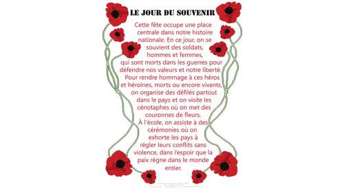 Preview of Le Jour Du Souvenir/ Remembrance Day/Veterans Day: Vidéo
