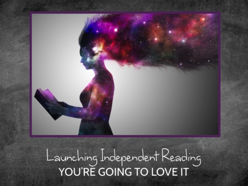 Preview of Department Workshop: Independent Reading Teacher Training, Staff Meeting