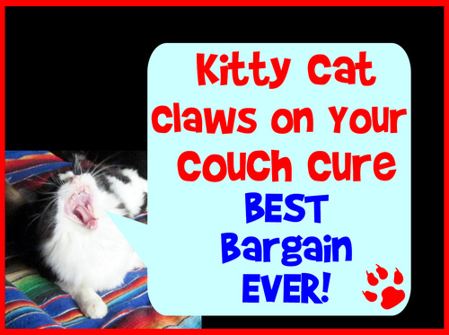 Preview of FREE ViDEO: Cat Clawing Sofa Cure Quick Solution 2-Minutes Long Animal Humor