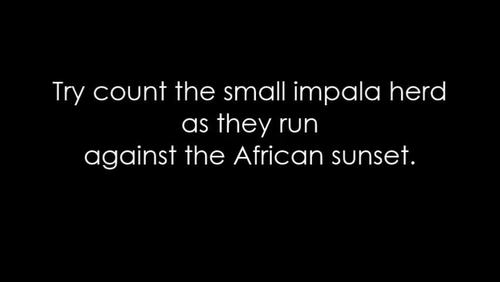 IMPALA ANTELOPE - Interactive PowerPoint presentation with video snippets