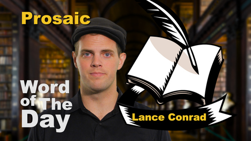 Word of the Day - Prosaic by The Storyteller Teacher | TPT