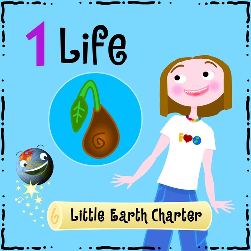 Preview of What is LIFE? Little Earth Charter Animation 1