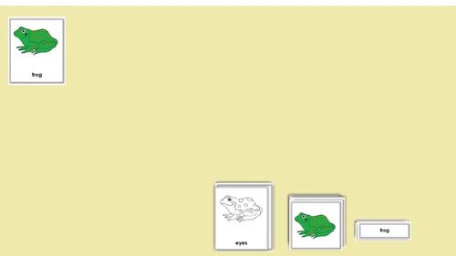 Montessori 3-Part Cards - Frog, Grasshopper, turtle, Bird, Horse, Fish