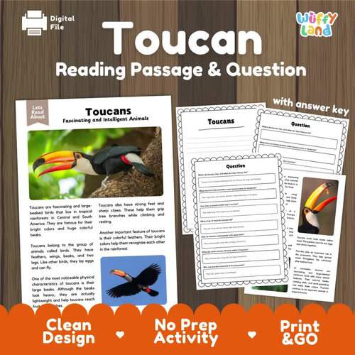 Toucan Reading Passage and Questions | Rainforest Birds Non-Fiction