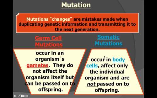Preview of Biology Lecture Video/Mutations/Flipped Classroom/Edpuzzle Ready