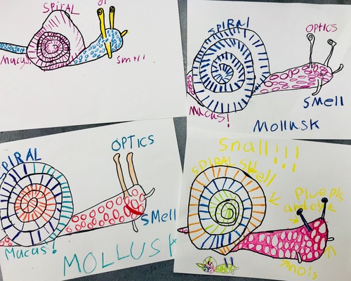 Preview of DISTANCE LEARNING! Draw Like an Artist+Scientist! VIDEO- Beginning STEAM/STEM!
