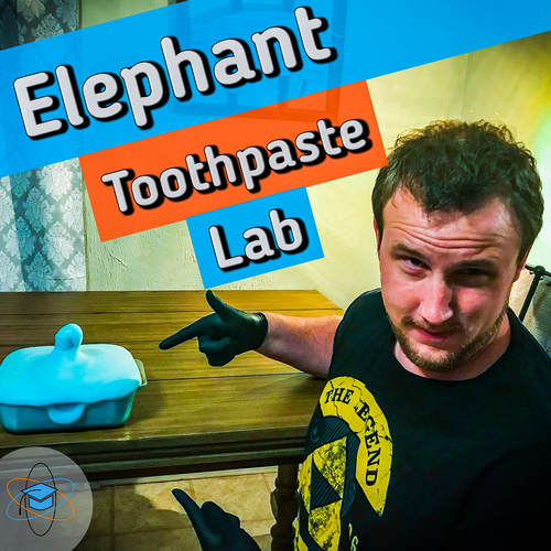 Preview of Elephant Toothpaste: A Decomposition Lab with Worksheet