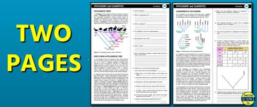 Phylogeny & Cladistics - Evolution Learning Module 14 (PDF & Google Slides)