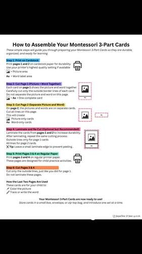 Montessori Bee Life Cycle 3-Part Cards | Preschool Science Printable PDF