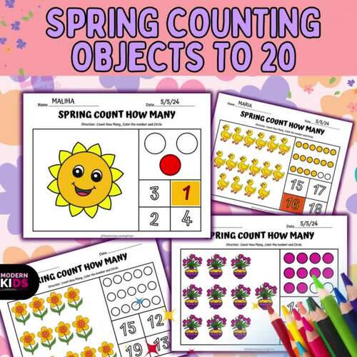 Spring Counting Objects to 20 -Autism Math Worksheet | TPT