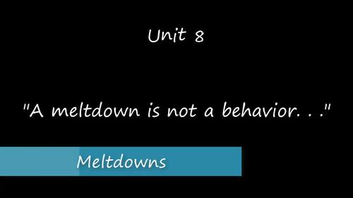 Preview of Unit 8 - Meltdowns