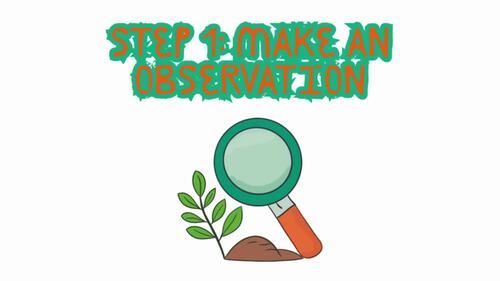 Scientific Method Slideshow & Notes: Experimental Design Inquiry Science