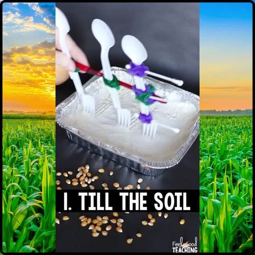 Thanksgiving STEM Activity Corn Cultivator by Kerry Tracy FeelGood