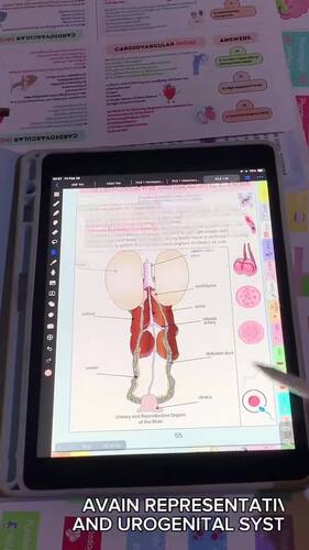 Veterinary Avian Anatomy Bundle , Veterinary Nurse Study Guide, Medical ...