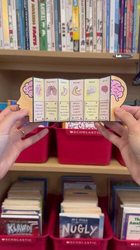 Human Body Systems Accordion Craft | 6-Panel Science Activity | TPT