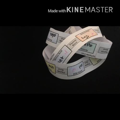 Biomolecules Activity Build a Protein Model to learn Protein Folding!