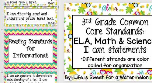 3rd Grade Common Core - I can statements - Pineapple Theme | TPT