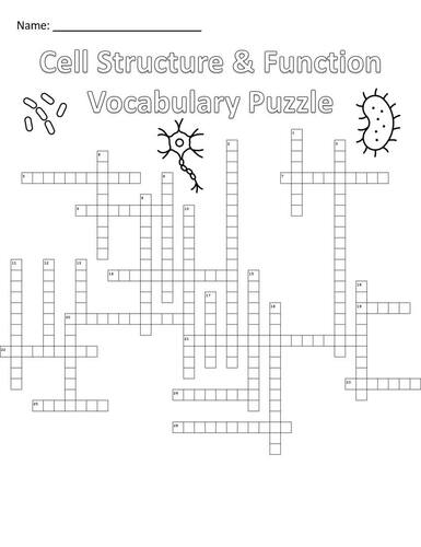 Cell Structure And Function Crossword Puzzle Answer Key 16 B