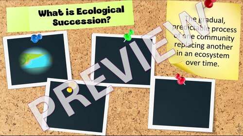 Ecological Succession PowerPoint Slideshow (+ Guided Notes)