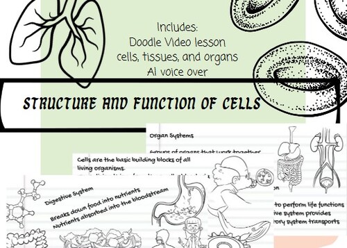 Preview of Structure and Function of Cells  (Tissues, Organs, and System) Doodle Video